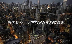 爆笑梗图：天堂WWW资源被改编