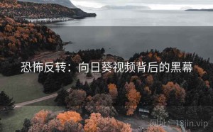 恐怖反转：向日葵视频背后的黑幕