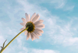 奇怪但真实:久久国产精品相关事实