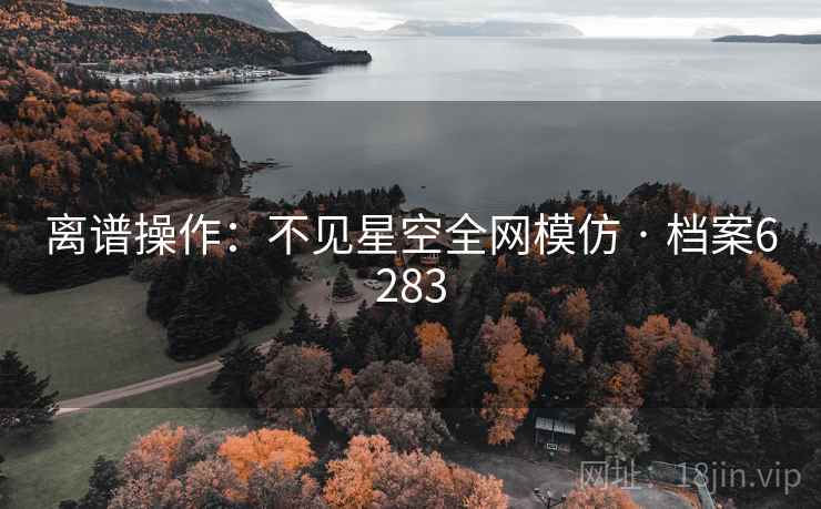 离谱操作：不见星空全网模仿 · 档案6283