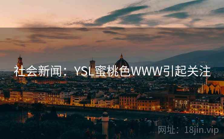 社会新闻：YSL蜜桃色WWW引起关注